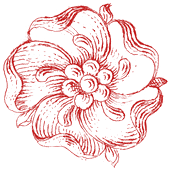 Perseverence